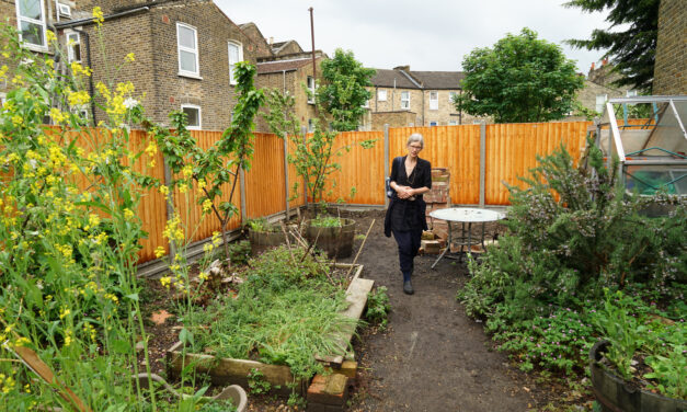 Carol and all things garden