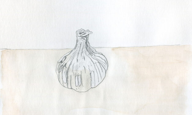 From Rachel Chaplin