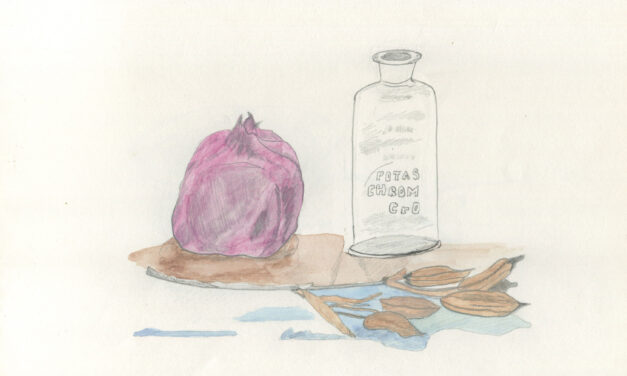 Carol’s drawings