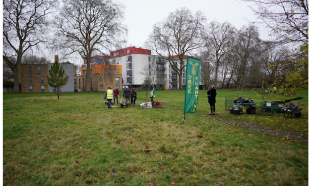 Millfields Park, Hackney, 9th December 2020